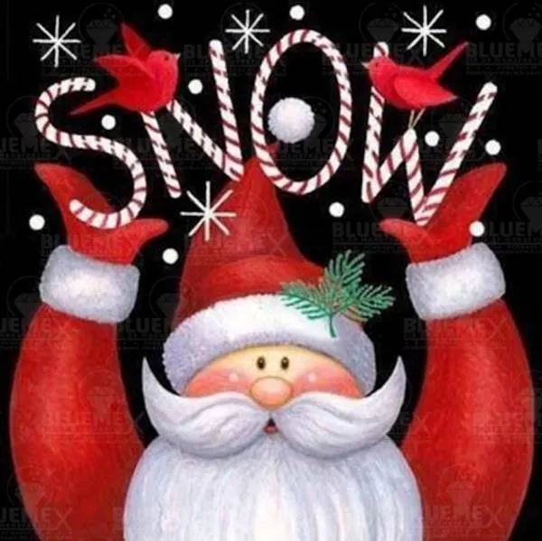 Diamond Painting Bild, Weihnachtsmann Snow, 50x50cm, 50 Farben, runde Steine, Vollbild