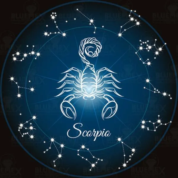 Zodiac sign Scorpio, Glow in the dark - night glow, 60x60cm, 45 colours, round stones, full picture
