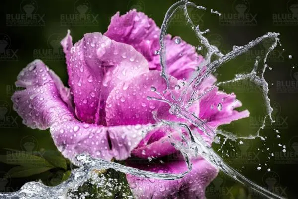 Diamond Painting Bild, Wasserspiel, 75x50cm, 40 Farben, runde Steine, Vollbild