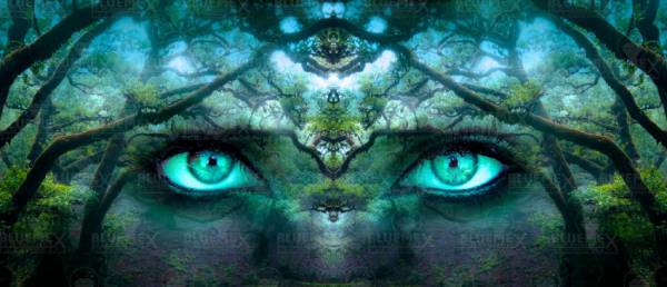 Diamond Painting Bild, Augen, runde Steinchen, ca. 50x120cm, 60 Farben, Vollbild