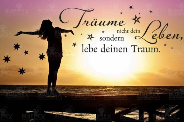 Diamond Painting Bild, Lebe Deinen Traum, runde Steinchen, 60x90cm, 45 Farben, Vollbild