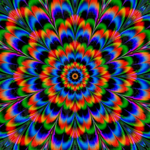 Diamond Painting Bild, Abstrakte Blüte, 55 Farben, eckige Steinchen, 70x70cm, Vollbild