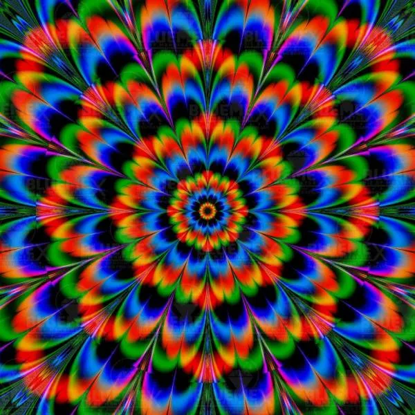 Diamond Painting Bild, Abstrakte Blüte, 70x70cm, 55 Farben, eckige Steine, Vollbild