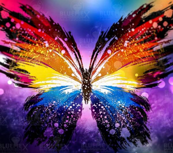 Diamond Painting Bild, Schmetterling, runde Steinchen, 39 Farben incl. 19 AB, 39x44cm, Vollbild