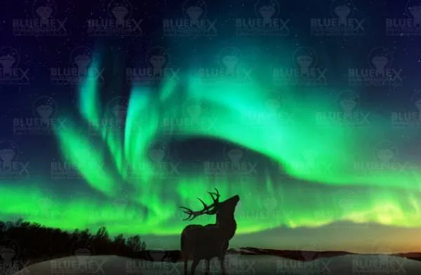 Diamond Painting picture, Northern Lights, 100x65cm, 71 colours, 7 Glow, square stones, full picture