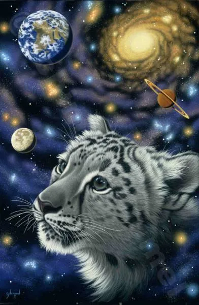 Schim Schimmel, One with the Universe, 59x90cm, 150 Farben, eckige Steine, Vollbild