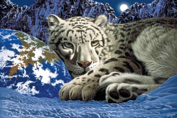 Schim Schimmel, The Warmth Of Home, Approx. 101x67cm, 110 Colours, Round Stones, Full Image