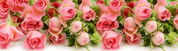 Diamond Painting picture, rose bed, 150x50cm, 50 colours, round stones, full picture