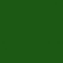 3346, Hunter Green, 1 Package (200 Diamonds)