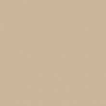 3864, Mocha Beige Light, 1 Package (200 Diamonds)