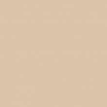 Ersatz-Steinchen, rund (round), Farbe 613, Drab Brown Very Light, Tüte mit 200 Stück