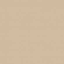 842, Beige Brown Very Light, 1 Package (200 diamonds)