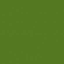 Steinchen, eckig (square), Farbe 904, Parrot Green Very Dark, Tüte mit 200 Stück