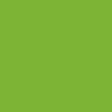 Steinchen, eckig (square), Farbe 906, Parrot Green Medium, Tüte mit 200 Stück