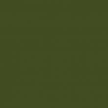 935, Avocado Green Dark, 1 Package (200 Diamonds)