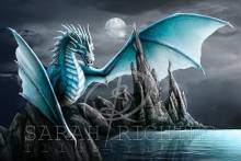 Sarah Richter, Cameron, 60x90cm, 50 colours, round stones, full image