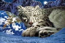 Schim Schimmel, The Warmth of Home, ca. 101x67cm, 110 Farben, runde Steine, Vollbild