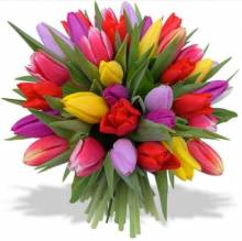 Diamond Painting beginner picture, tulip bouquet, approx. 30x30cm, 30 colours, round stones, full picture
