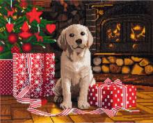 Diamond Painting Bild auf Keilrahmen gespannt, Labrador Pup, runde Diamanten, ca. 50x40cm, Vollbild