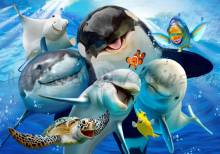 Howard Robinson, Ocean Selfie, 60x85cm, 70 colours, round stones, full image