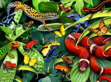 Howard Robinson, Jumpers and Crawlers, 65x90cm, 70 colours, round stones, full image