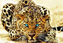Diamond Painting Bild, Leopard, ca. 60x90cm, 45 Farben, runde Steinchen, Vollbild