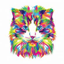 Diamond Painting Bild, bunte Katze, runde Steinchen, 30x30cm, 20 Farben, Vollbild