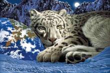 Schim Schimmel, The Warmth Of Home, Approx. 101x67cm, 110 Colours, Round Stones, Full Image