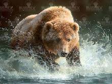 Diamond Painting Bild, Braunbär, runde Steinchen, ca. 100x75cm, 50 Farben, Vollbild